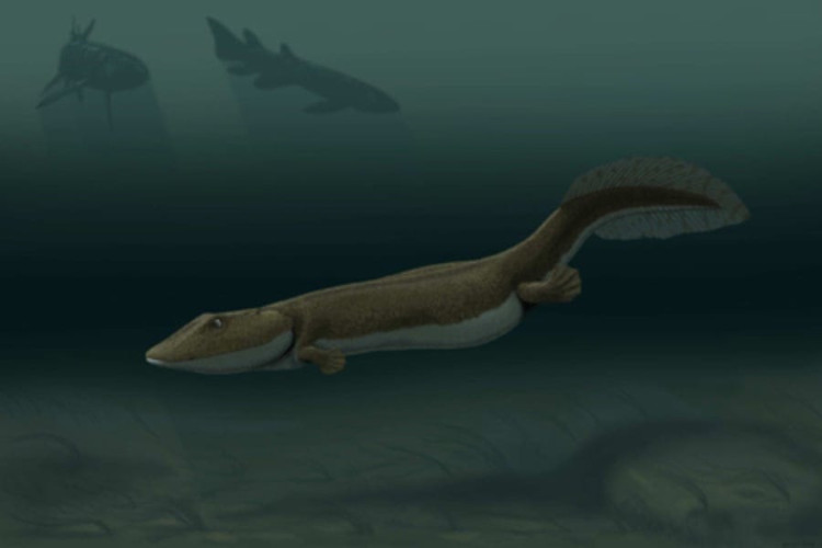Ventastega