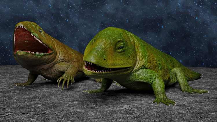 Pederpes